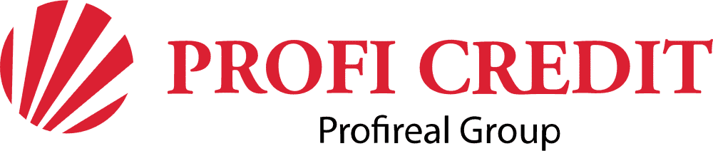 lead partner